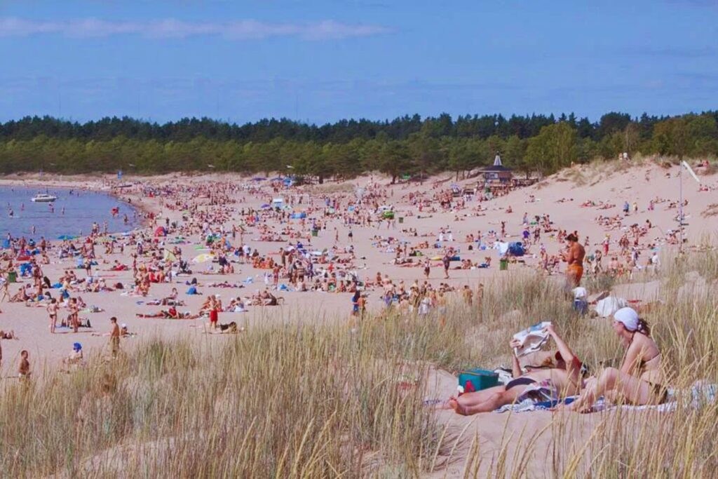 El verano en Finlandia trae un visitante inesperado que arruina la playa y nadie puede evitarlo