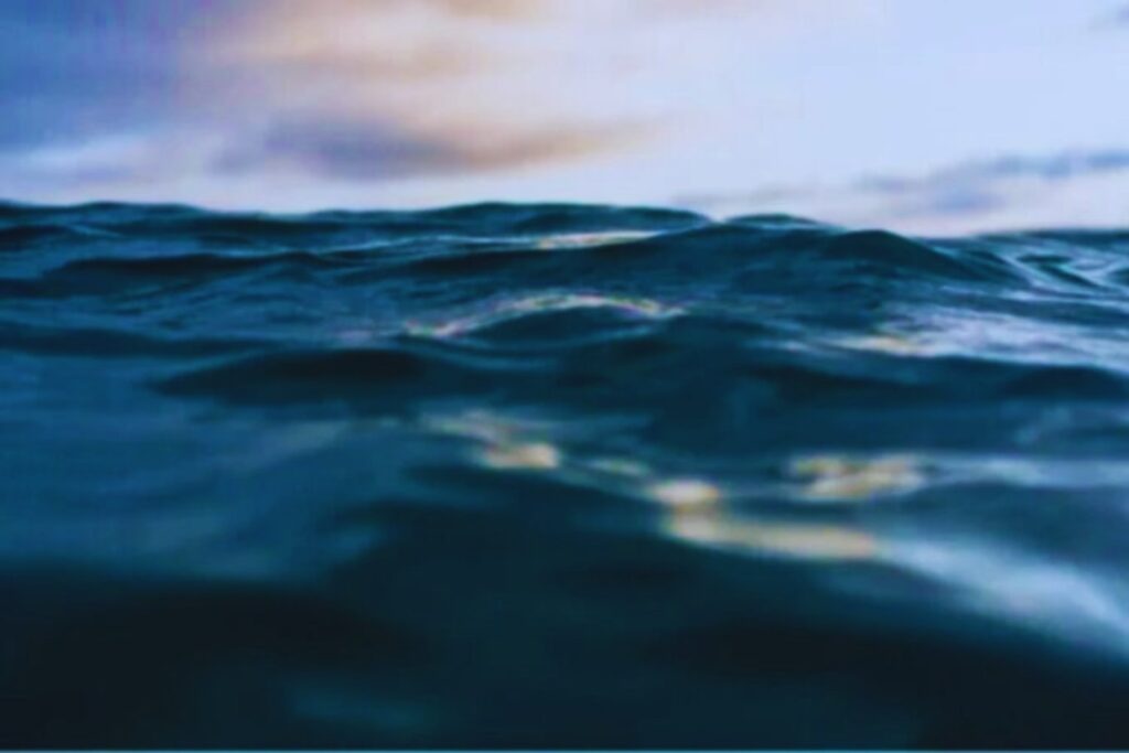 La expedición argentina que convirtió la ciencia en un espectáculo colectivo bajo el mar