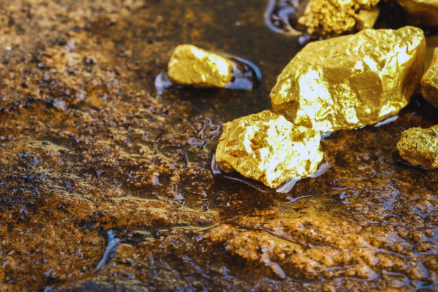 Oro premium en el corazón del Escudo Guayanés: el hallazgo que podría transformar a Surinam