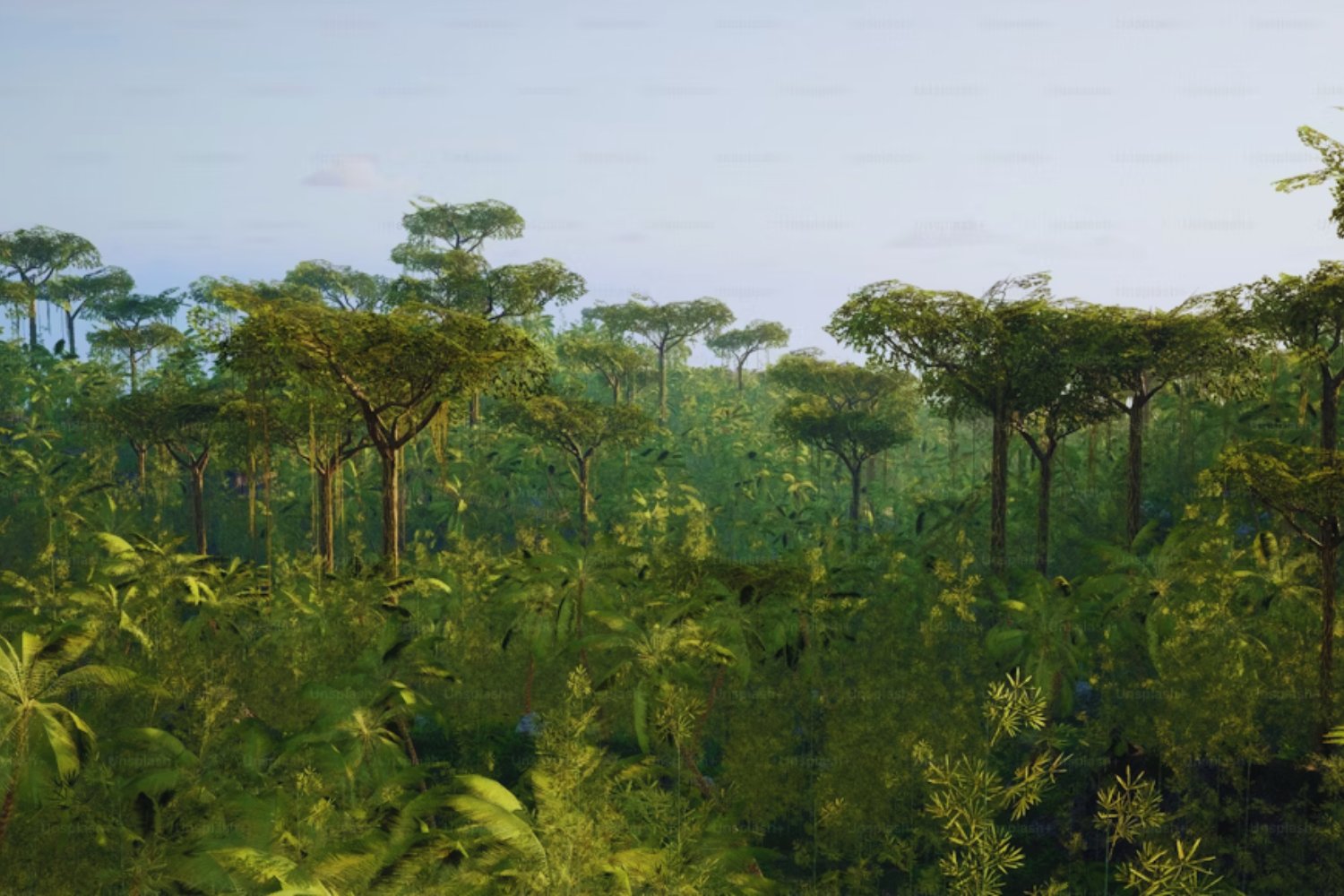 La ciudad perdida que reescribe la historia de la Amazonia ecuatoriana