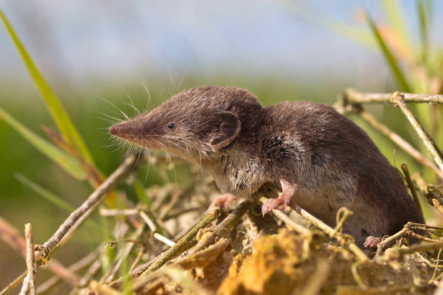 Diseño Sin Título (18)