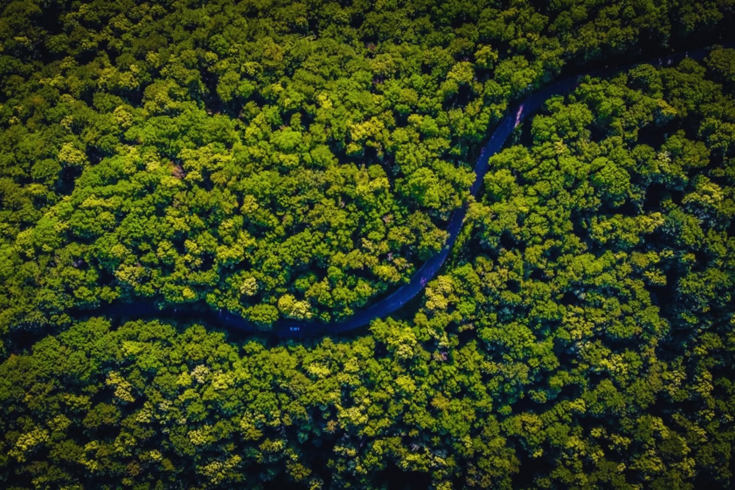 La ciudad perdida que reescribe la historia de la Amazonia ecuatoriana