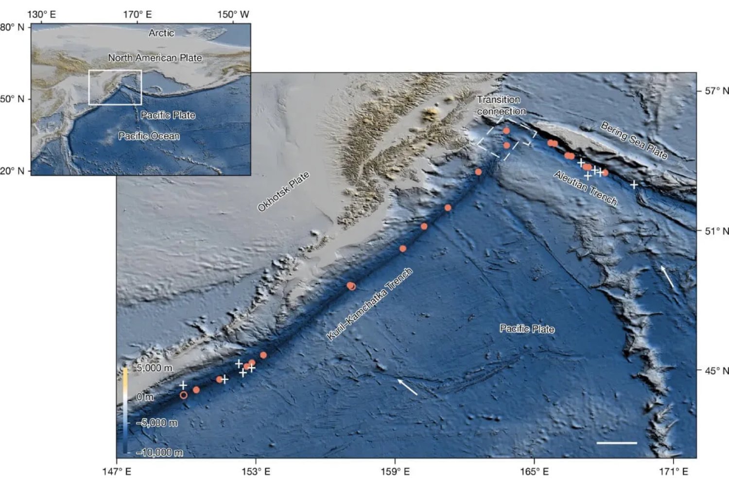 Vida inesperada en el abismo: el hallazgo marino que obliga a reescribir los límites de la biología