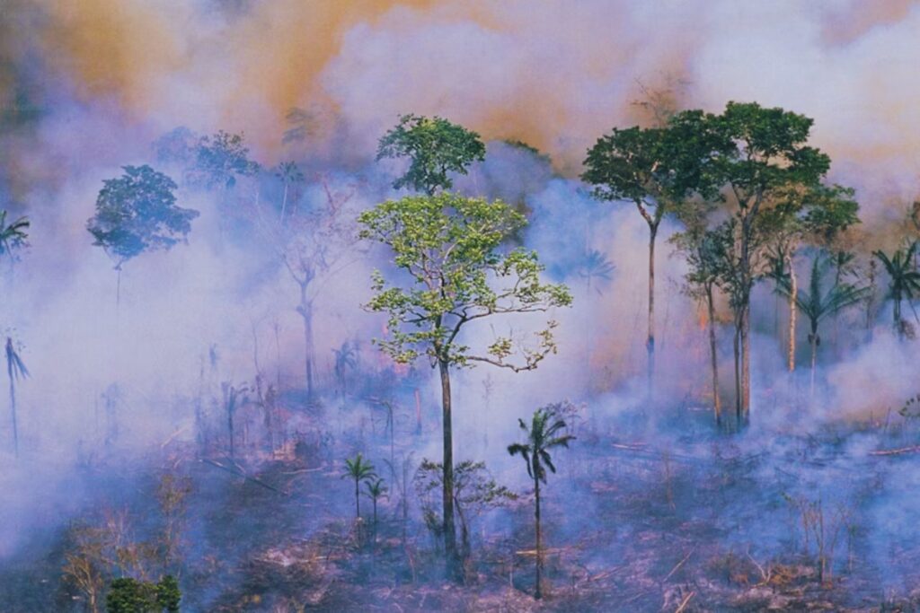 Una isla, dos banderas: el nuevo conflicto amazónico que sacude a Colombia y Perú