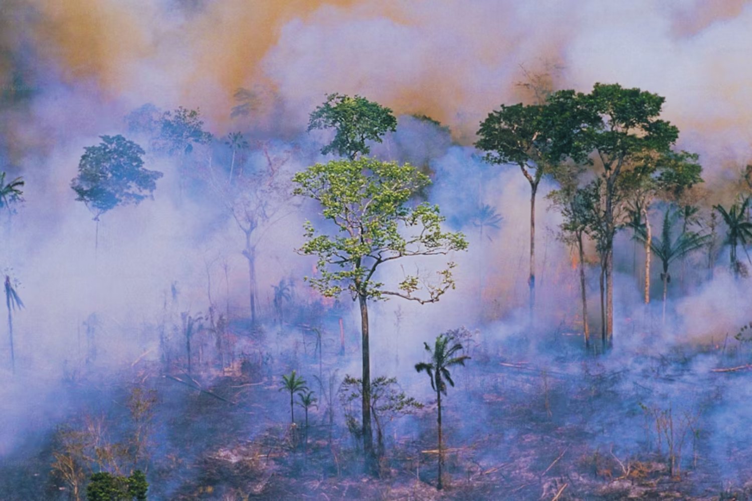 Una isla, dos banderas: el nuevo conflicto amazónico que sacude a Colombia y Perú