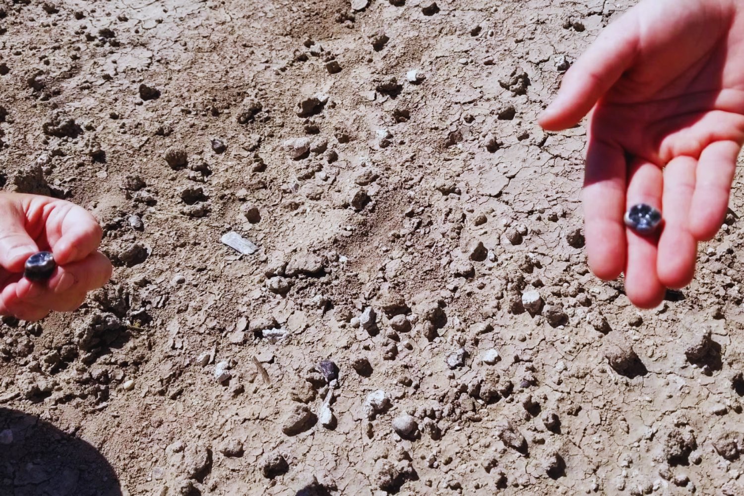 En el valle donde nació la humanidad: el hallazgo que reabre el debate sobre nuestros orígenes