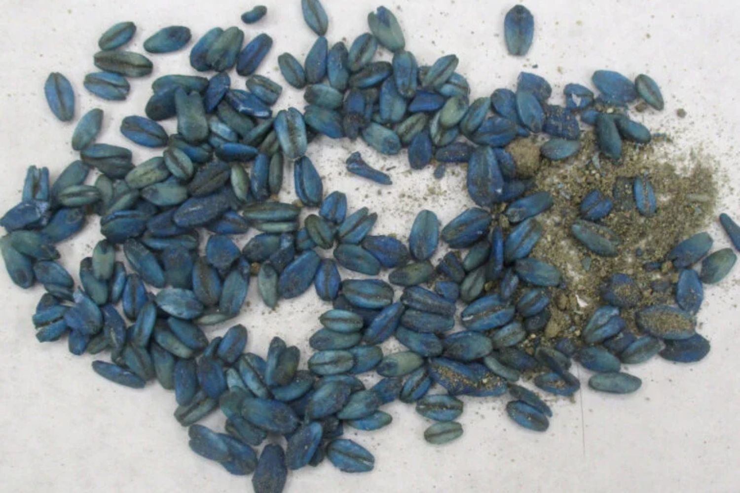 Diseño Sin Título 2025 08 09t123244.702