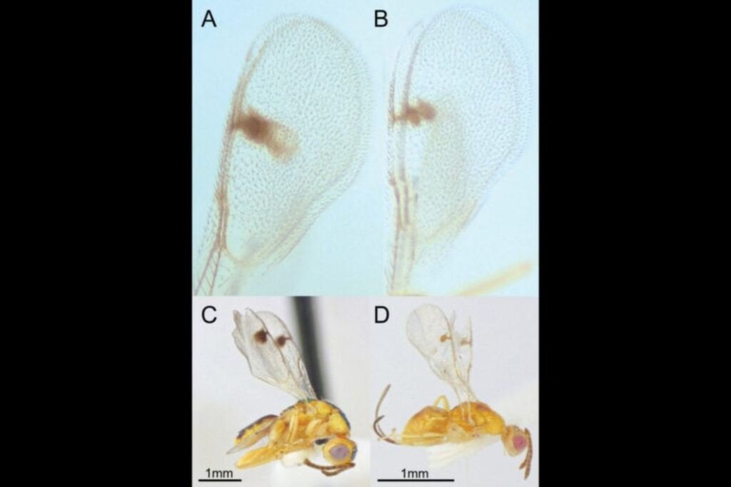 Diseño Sin Título 2025 08 30t155047.819