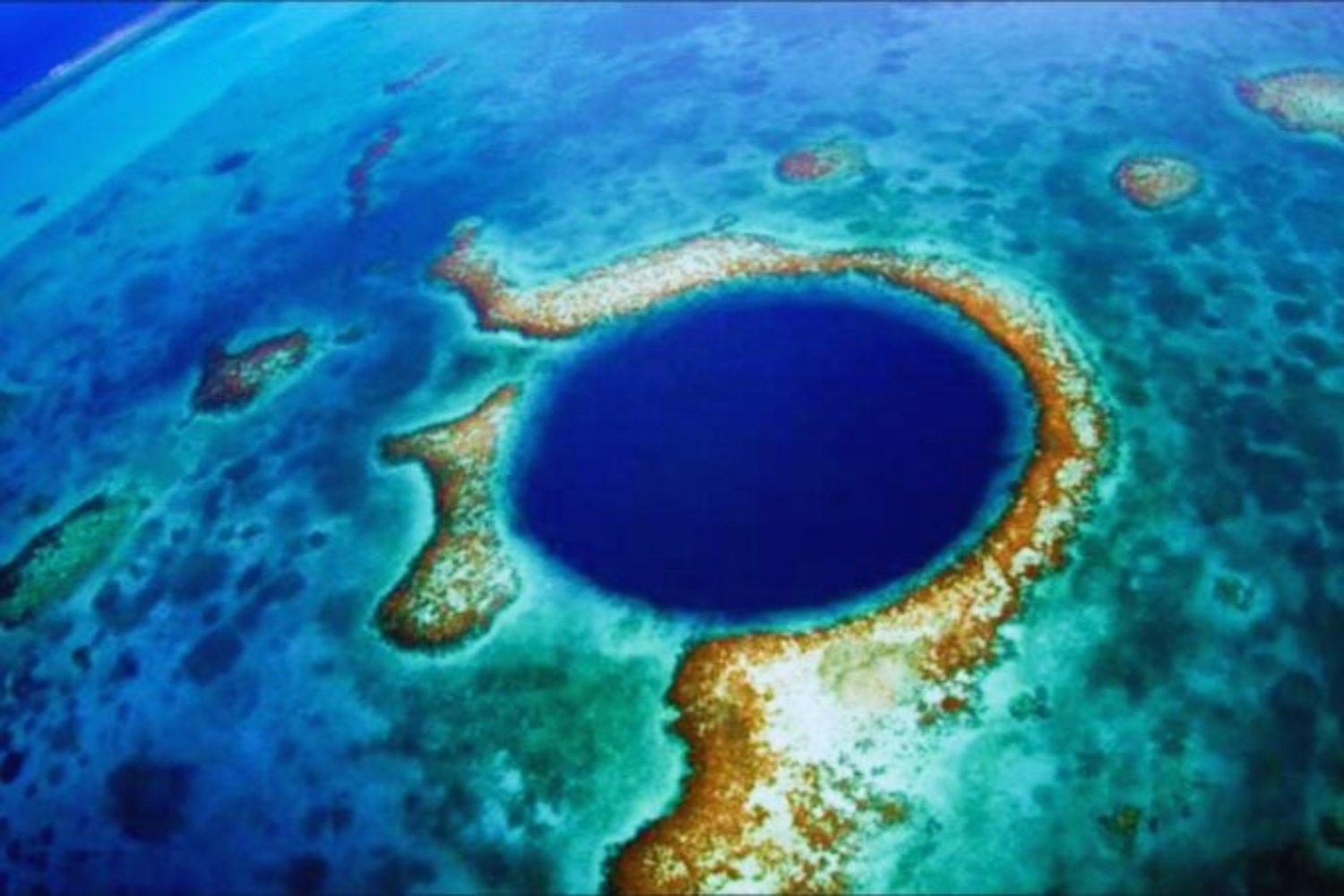 Se atrevieron a bajar… y lo que encontraron en las profundidades dejó al mundo sin aliento