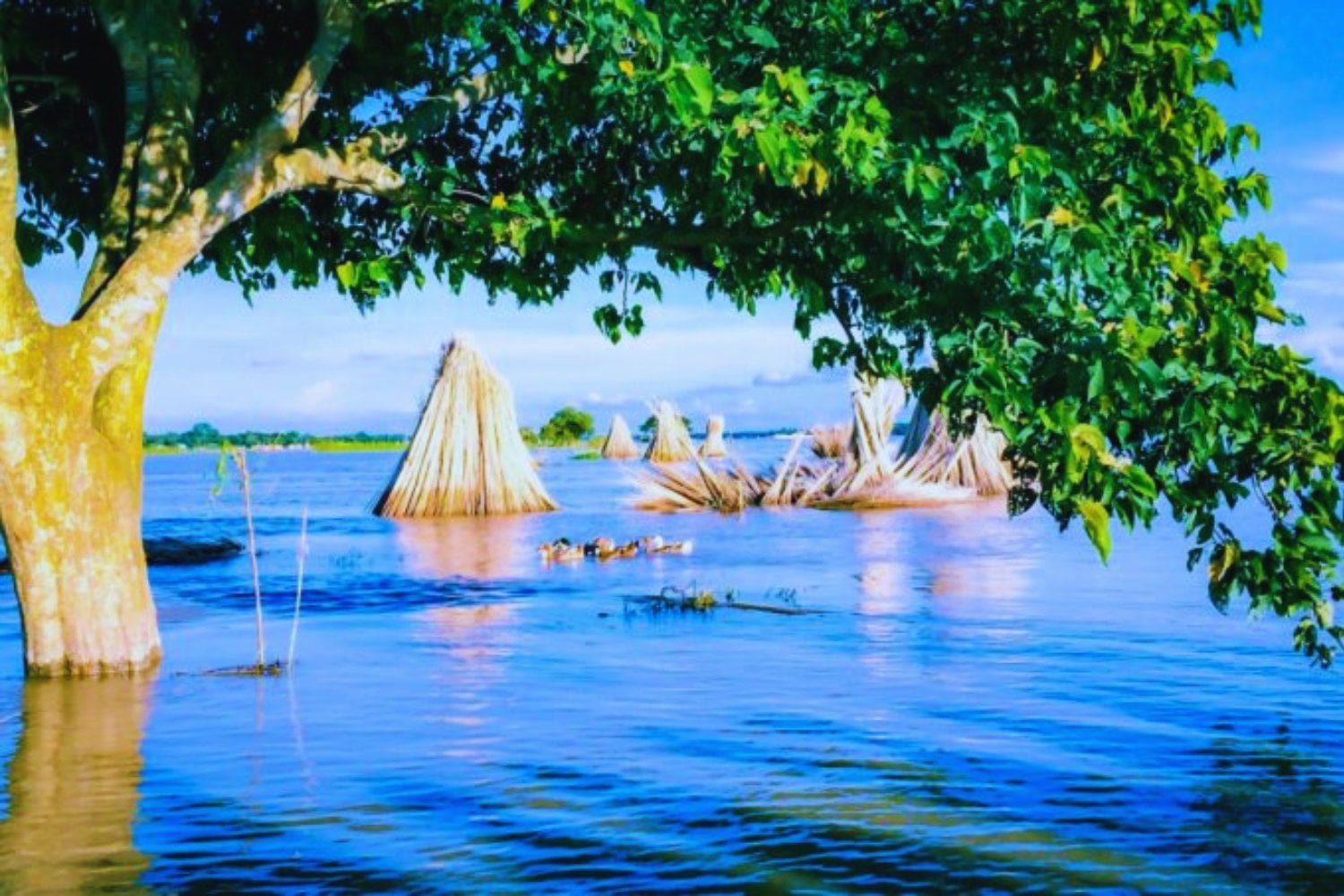 El avance imparable del mar: los territorios que podrían desaparecer y las advertencias que nadie quiere escuchar