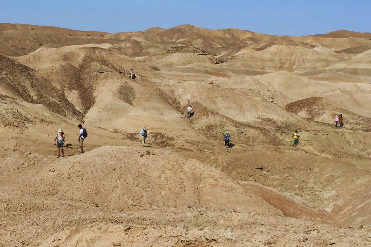 En el valle donde nació la humanidad: el hallazgo que reabre el debate sobre nuestros orígenes