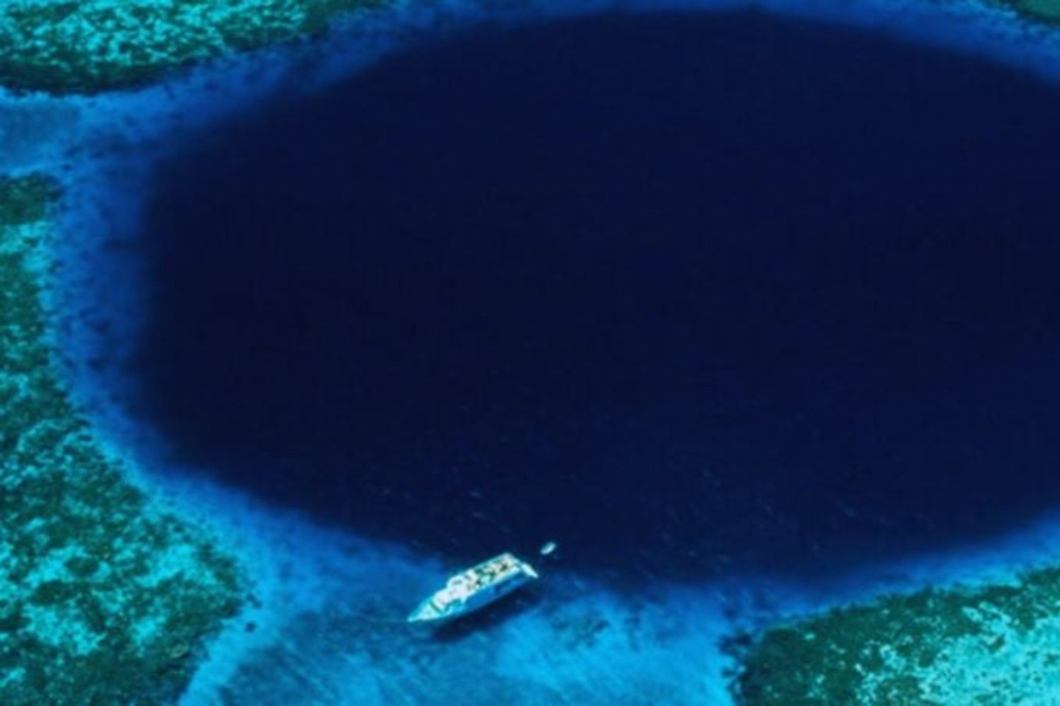 Se atrevieron a bajar… y lo que encontraron en las profundidades dejó al mundo sin aliento