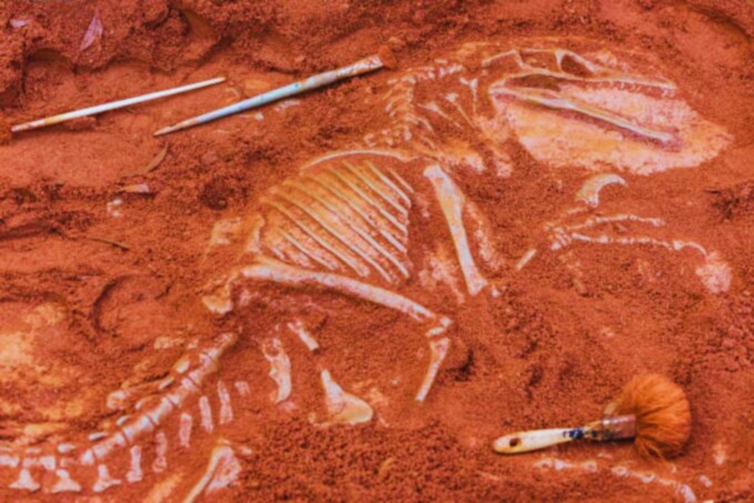 El fósil que desafía la historia de los dinosaurios y cambia lo que creíamos saber
