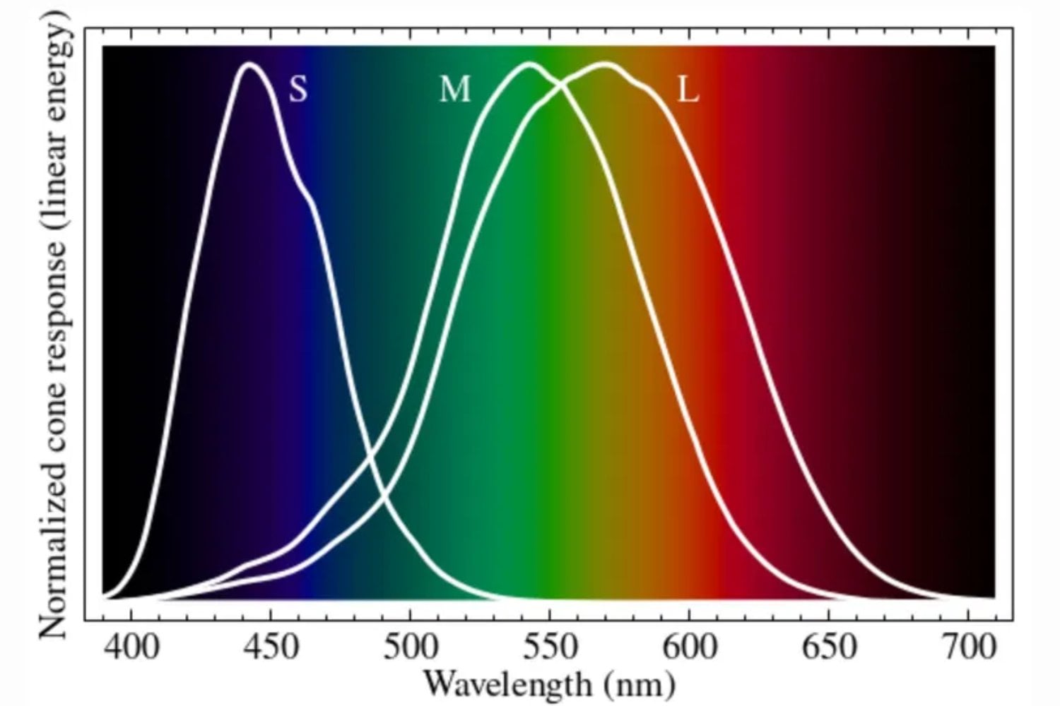 El día que la ciencia mostró a cinco personas un color que nunca habíamos visto