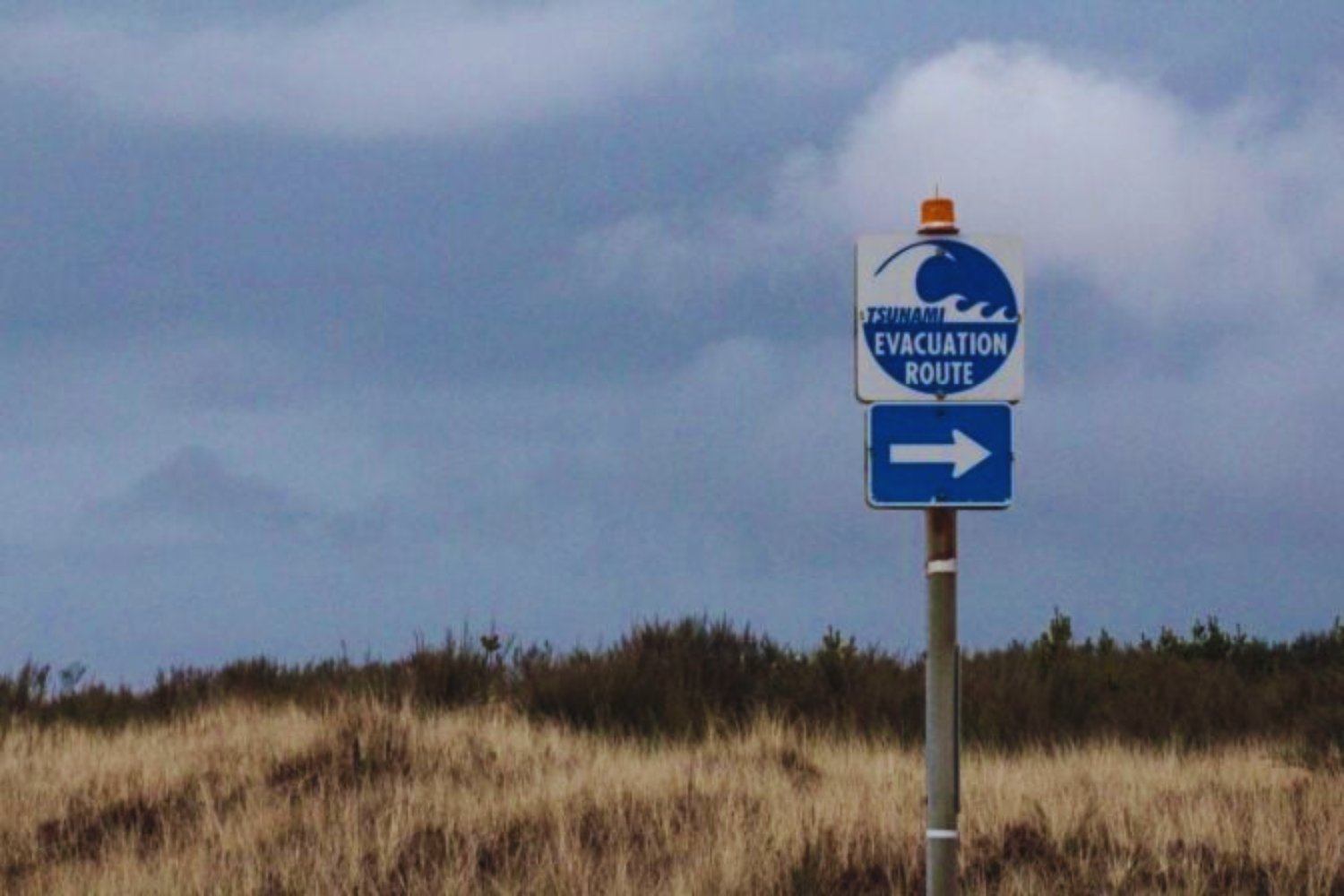 Vendrá un nuevo tsunami: la advertencia de la NASA que pone en alerta a medio planeta