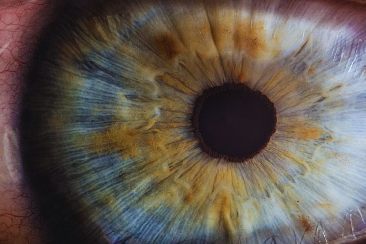 El día que la ciencia mostró a cinco personas un color que nunca habíamos visto