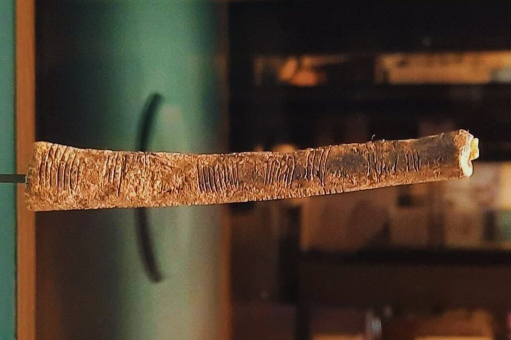 El enigma del hueso de Ishango: ¿primer rastro matemático de la humanidad o simple azar?