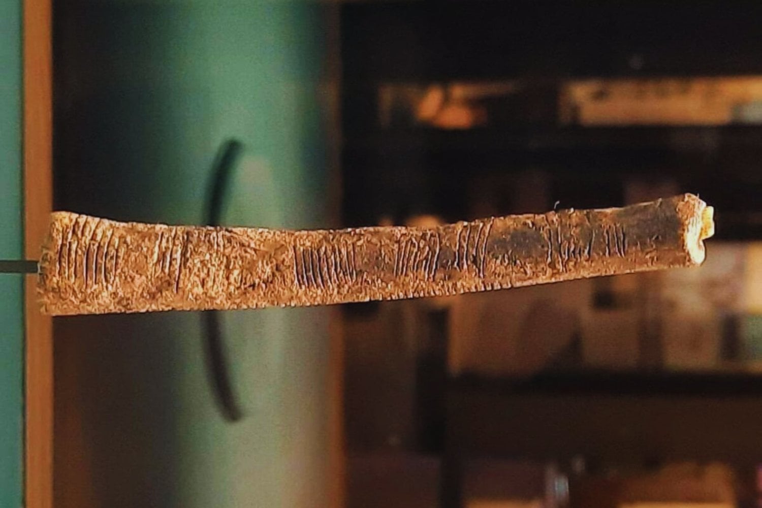 El enigma del hueso de Ishango: ¿primer rastro matemático de la humanidad o simple azar?