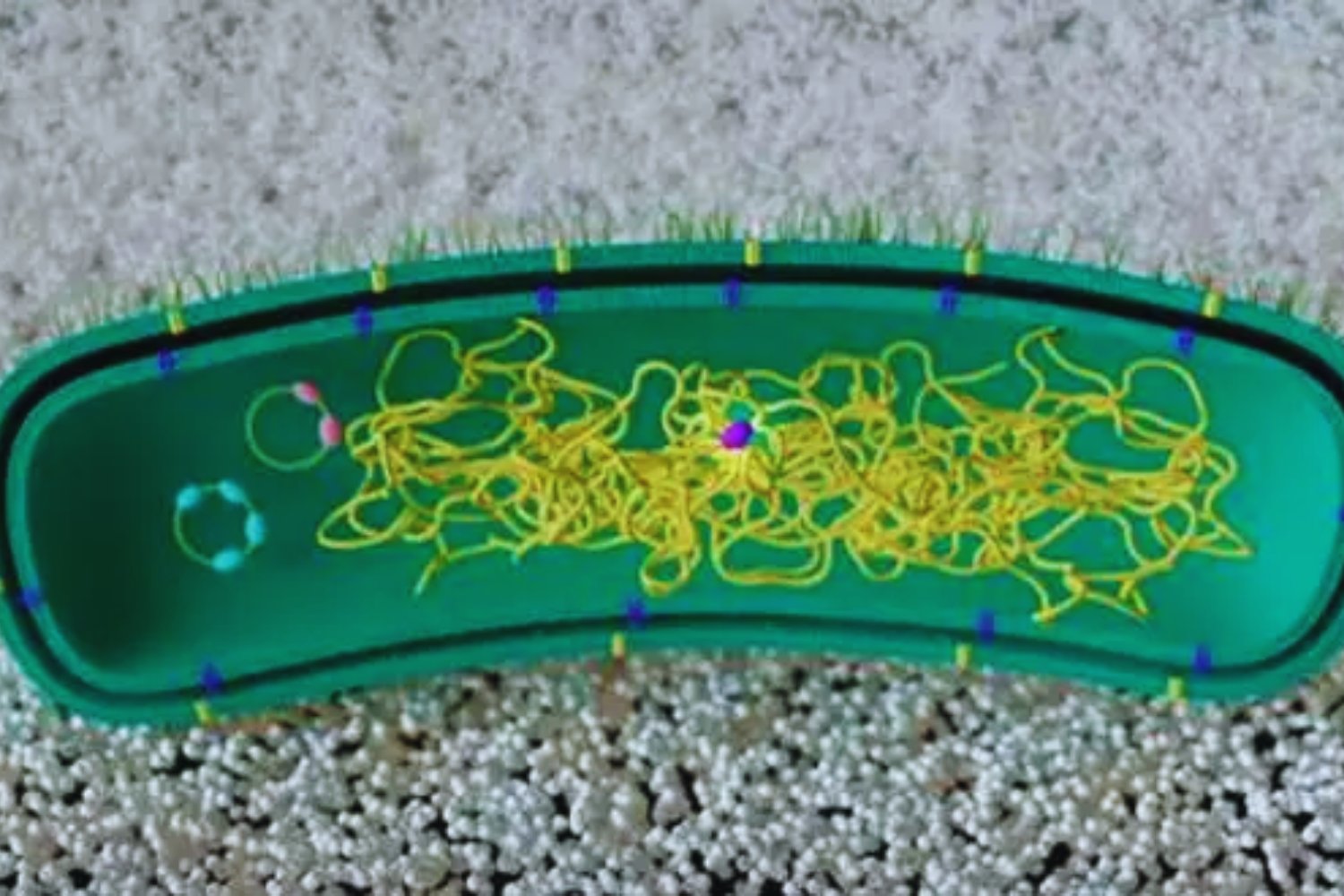 El enigma microscópico que podría cambiar la guerra contra el plástico