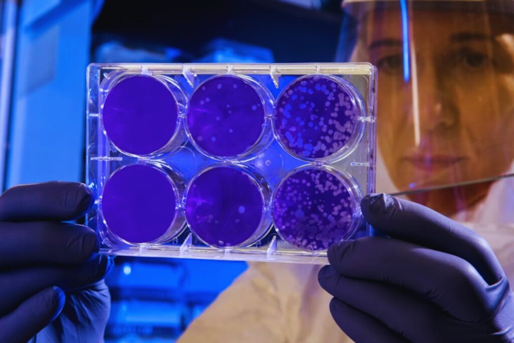 El avance silencioso de las superbacterias: la amenaza que podría cambiar la medicina para 2050