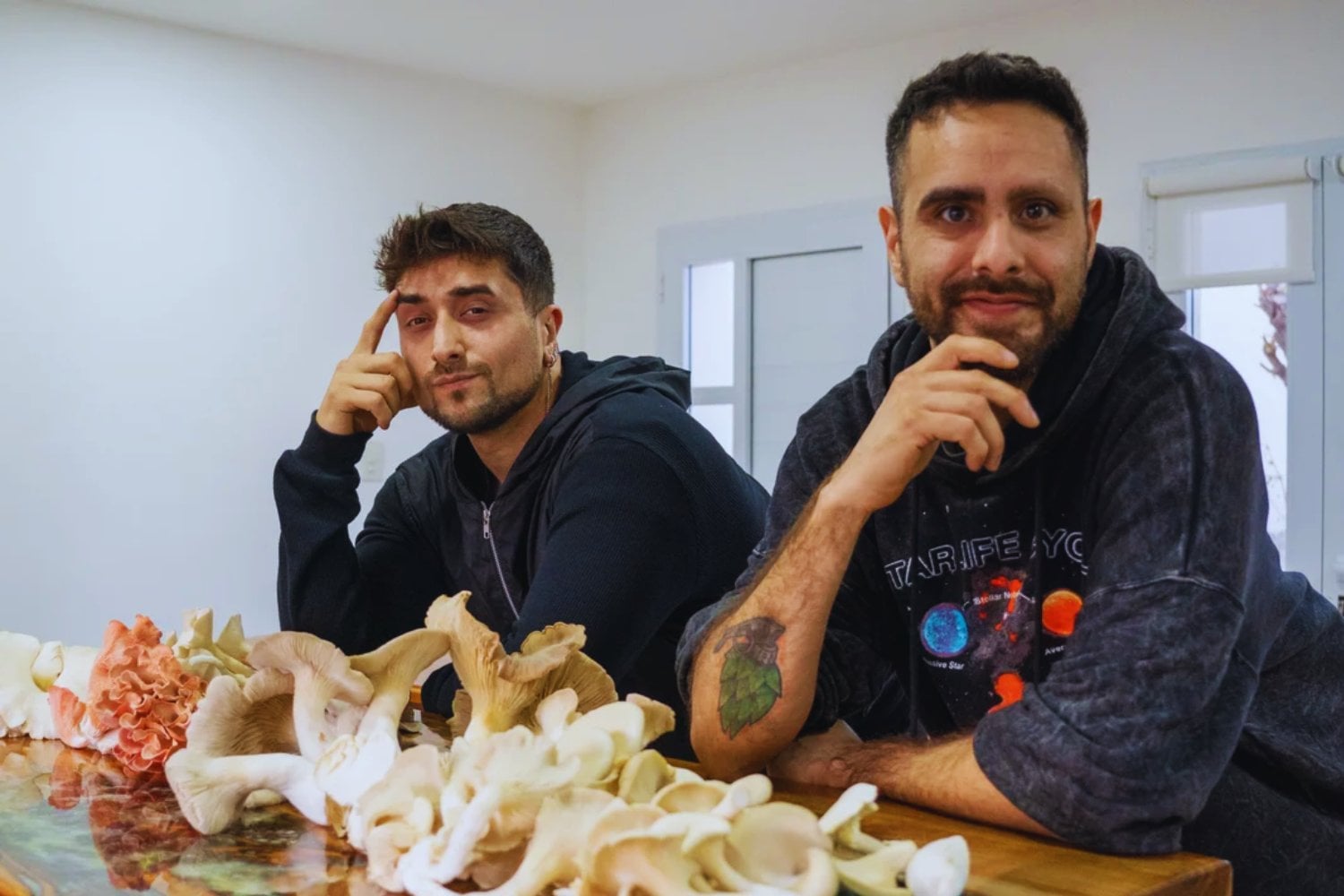 De las torres de petróleo a la cosecha gourmet: la revolución patagónica de los hongos que saben a carne