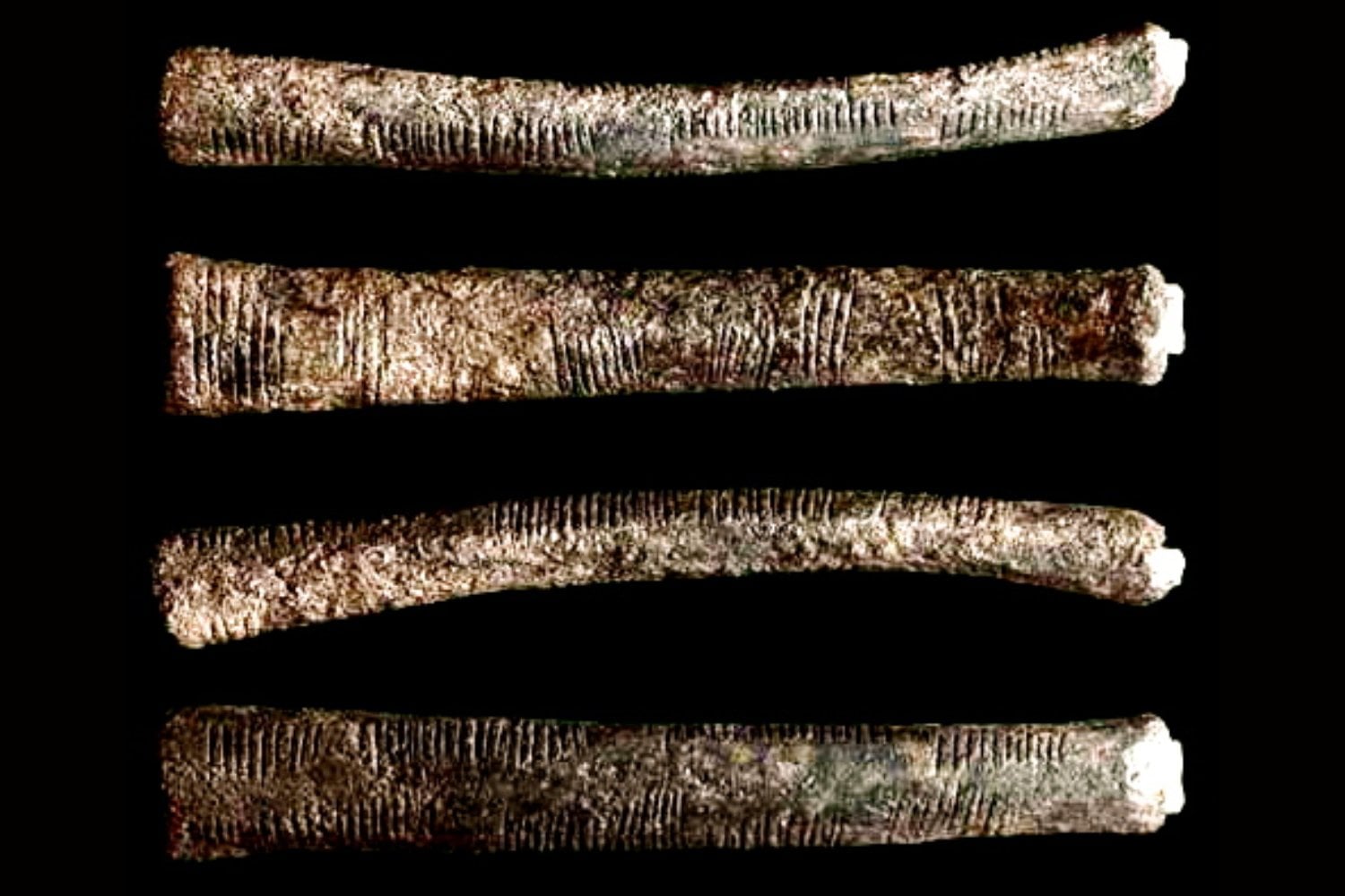El enigma del hueso de Ishango: ¿primer rastro matemático de la humanidad o simple azar?