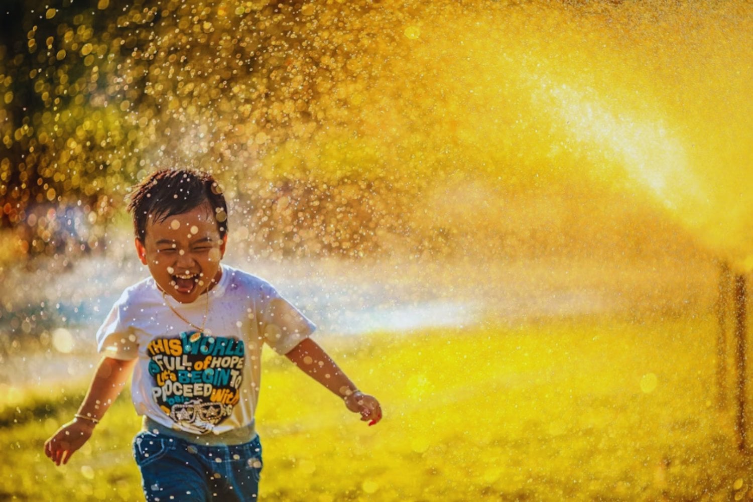 El secreto de quienes parecen felices: lo que deciden no hacer