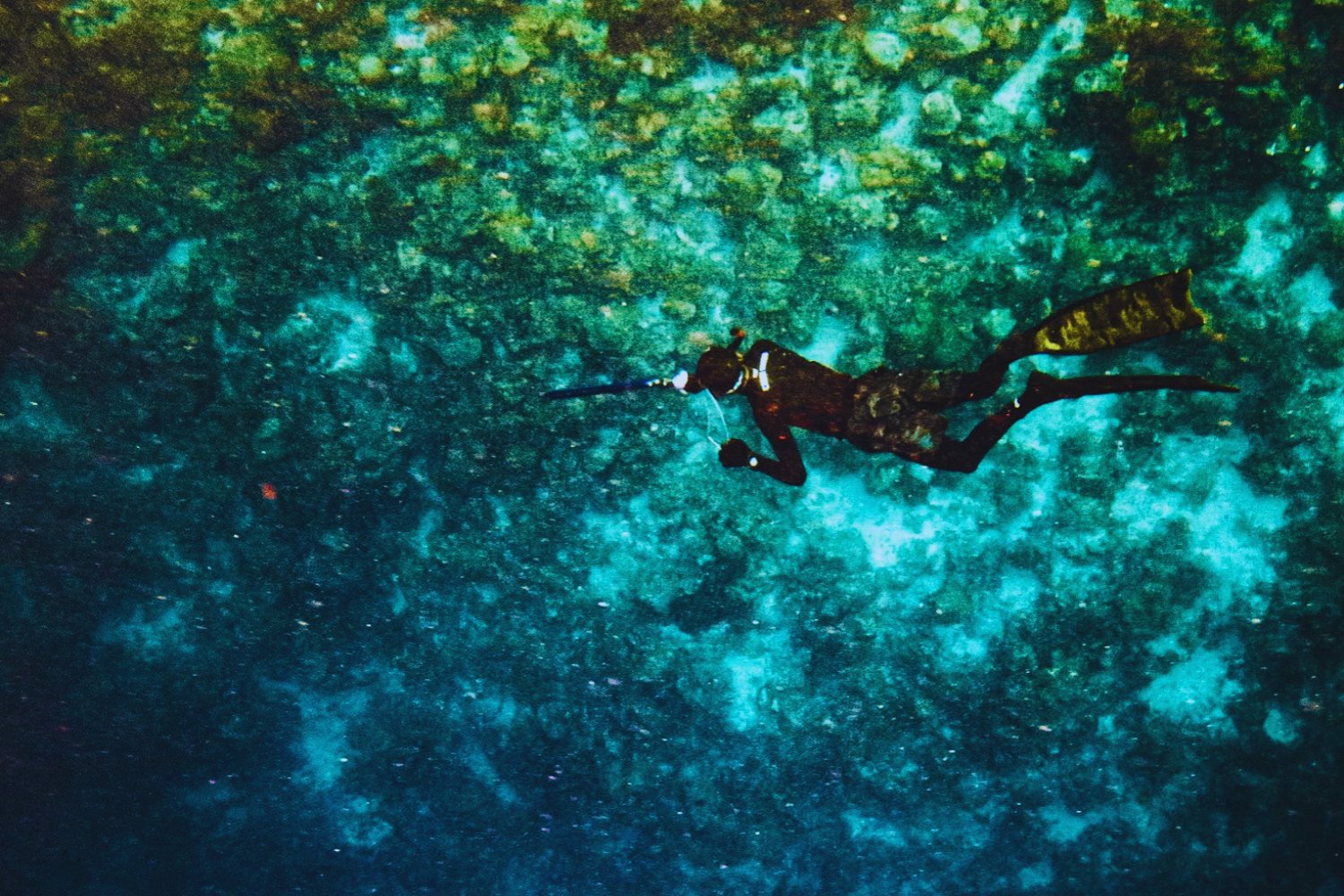 El océano ahogado en plástico: el fracaso de un acuerdo que podía cambiarlo todo