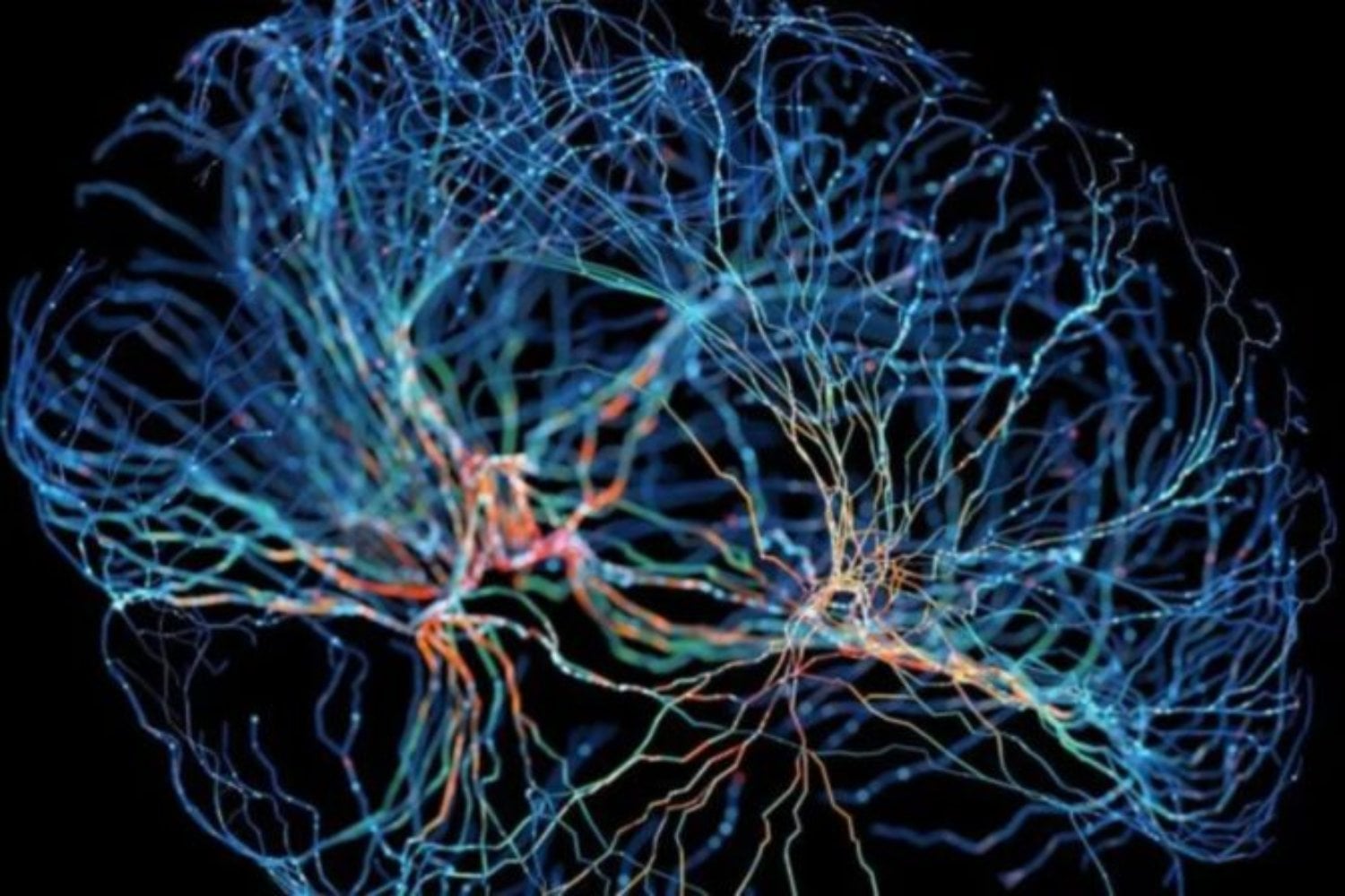 El marcapasos cerebral que devolvió la alegría tras décadas de depresión