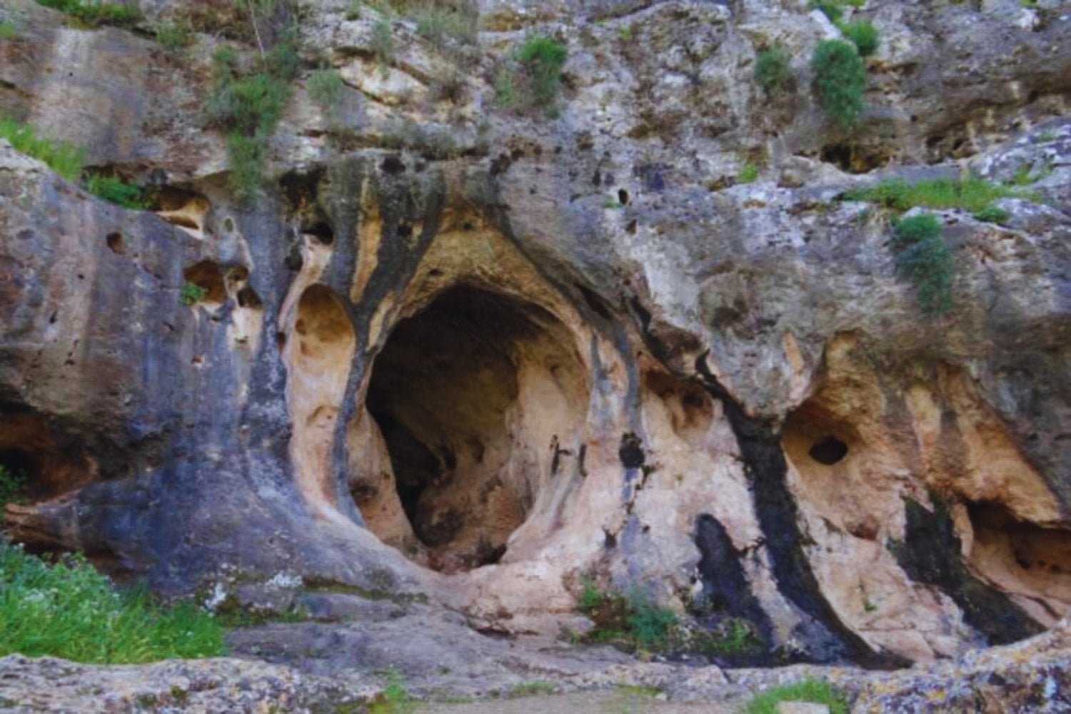 El cráneo infantil que reescribe la historia del encuentro entre sapiens y neandertales