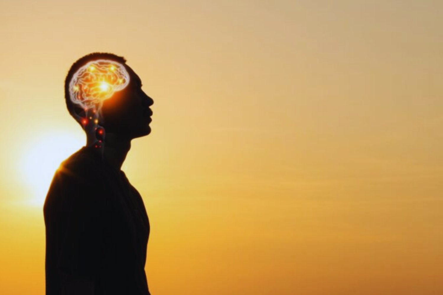 Cinco hábitos simples que pueden transformar tu memoria, según la neurociencia