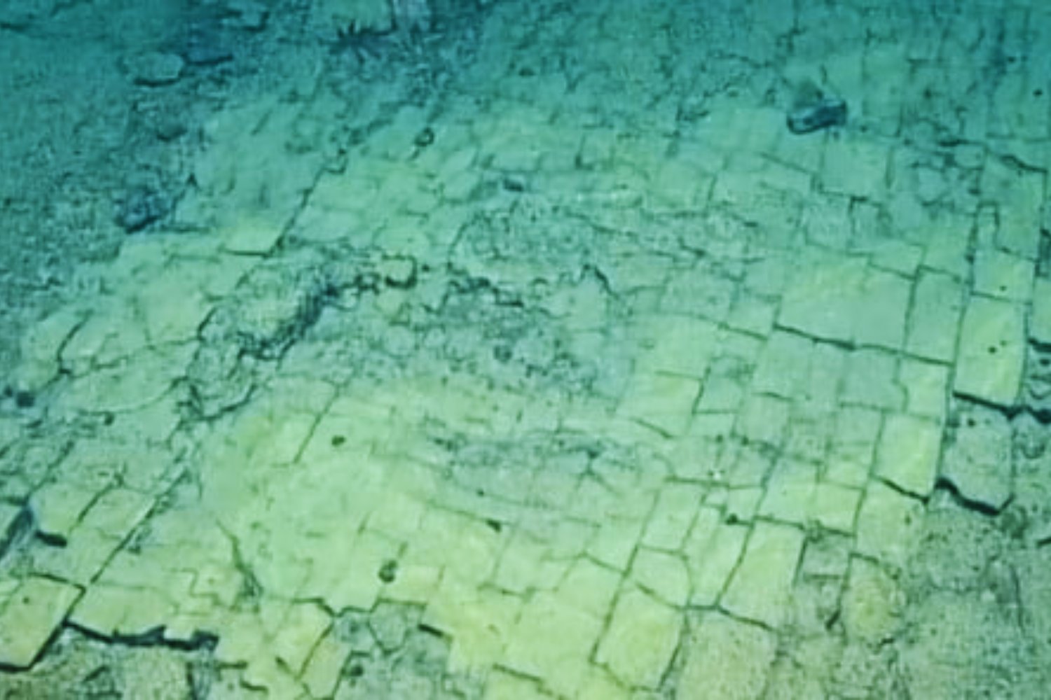 El misterioso “camino” hallado en el fondo del océano que intriga a la ciencia