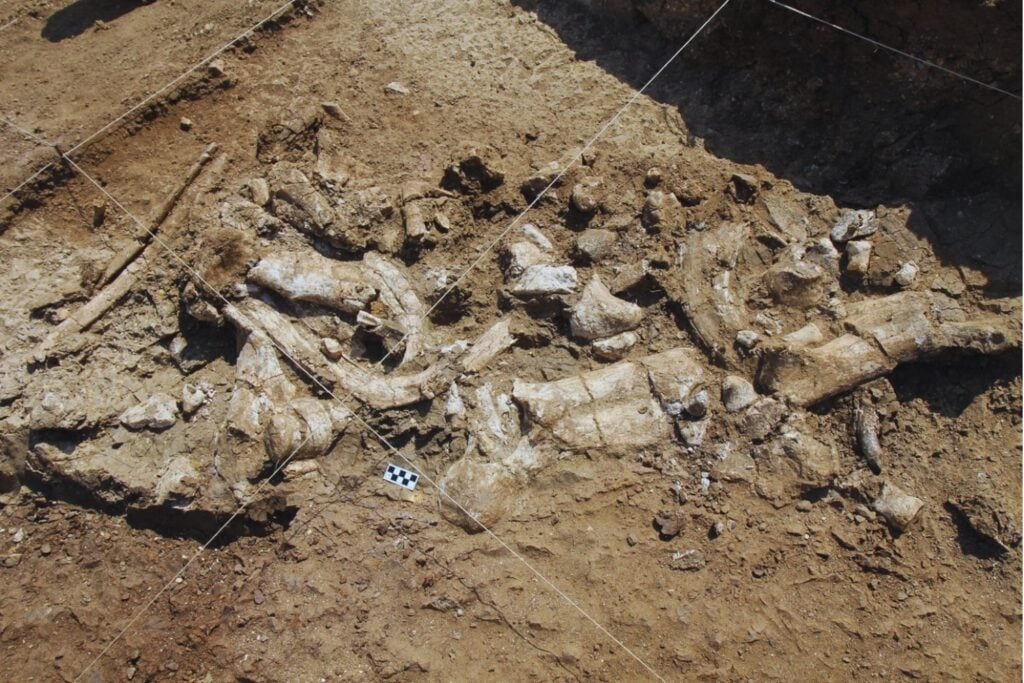 El misterio de Nyayanga: las piedras que reescriben la historia de la tecnología humana