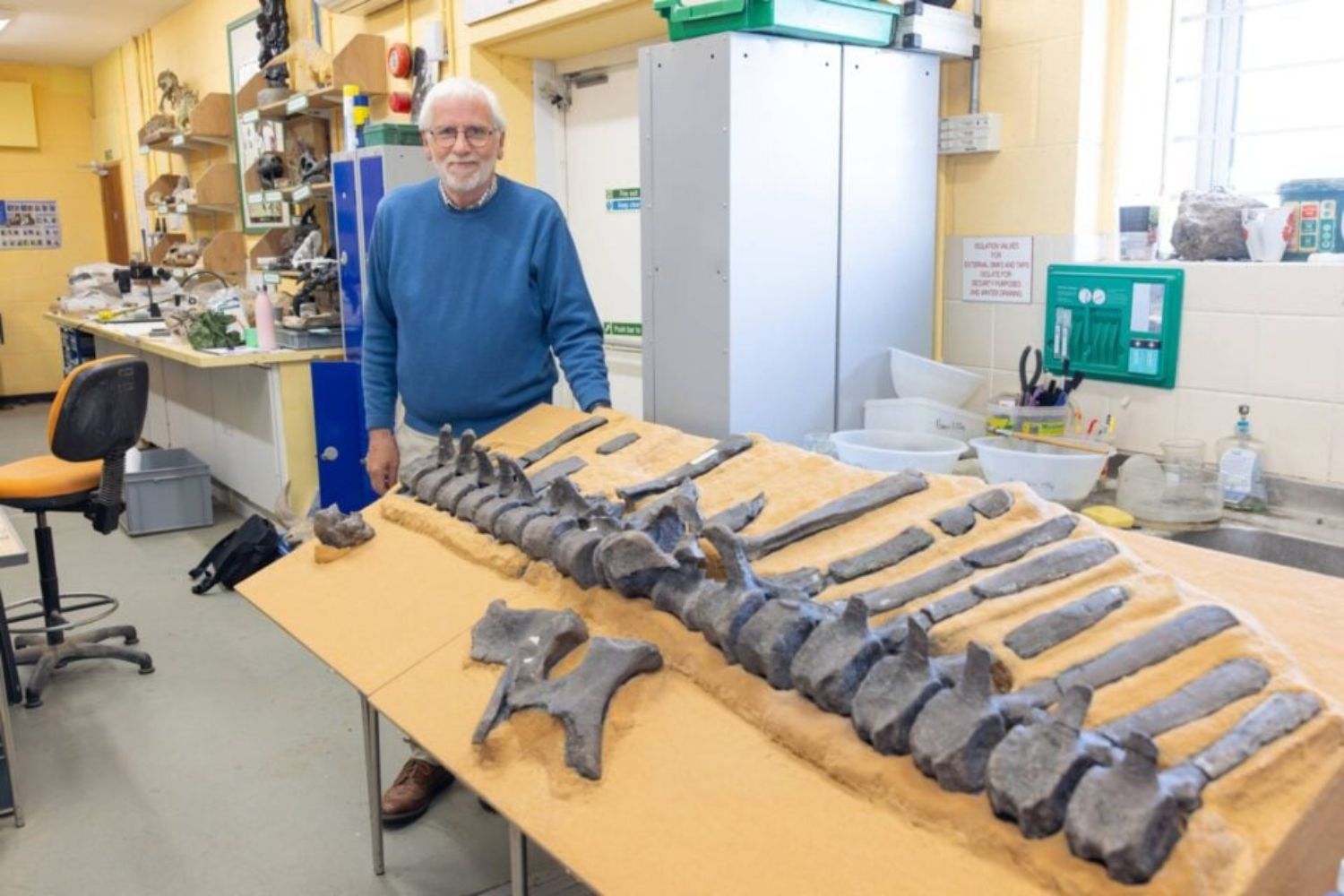 Diseño Sin Título (44)