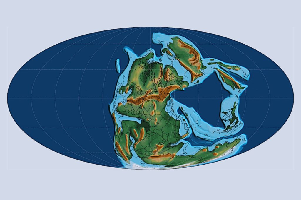 Ecos del Permiano: los fósiles africanos que revelan la vida antes de la gran extinción