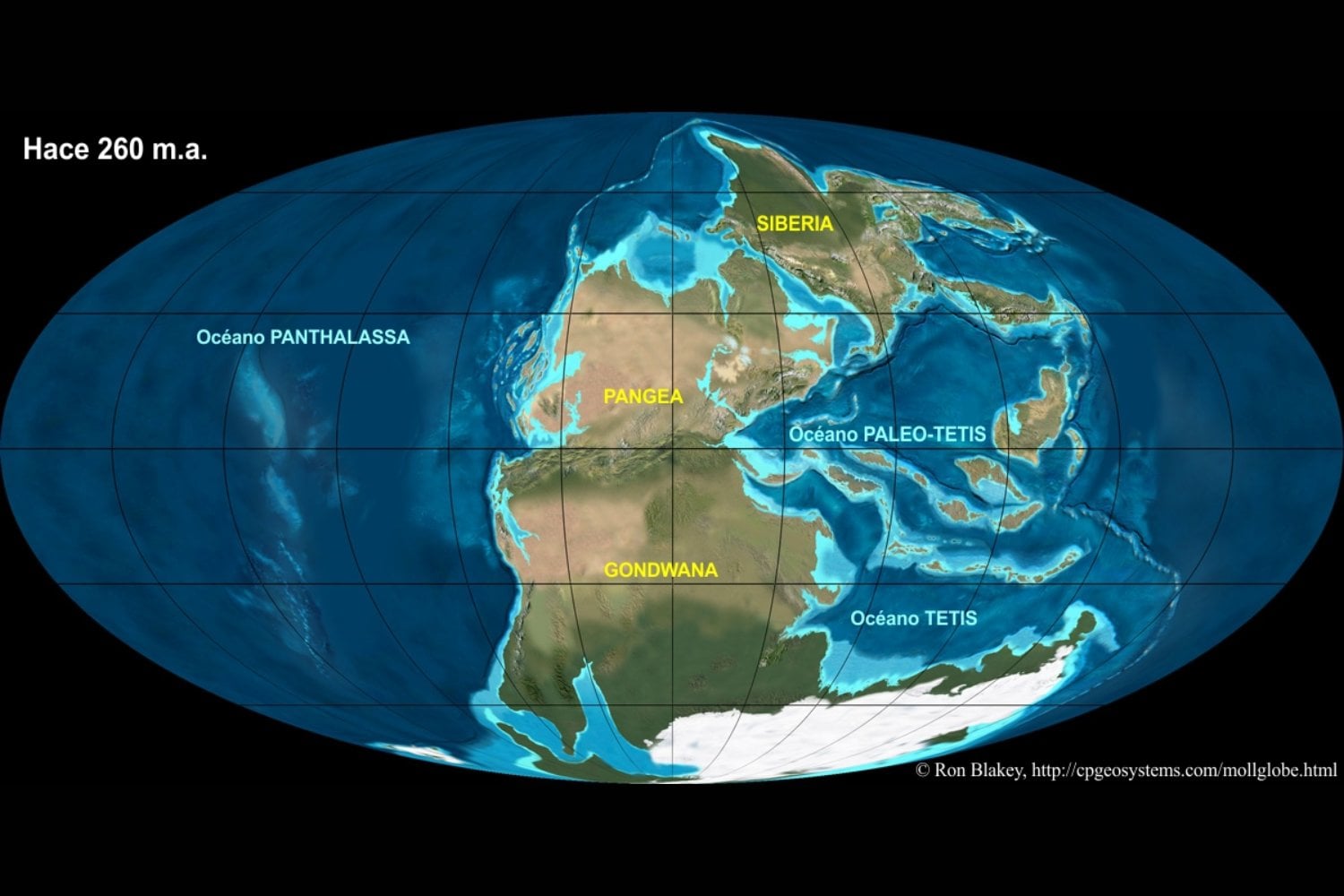 Ecos del Permiano: los fósiles africanos que revelan la vida antes de la gran extinción