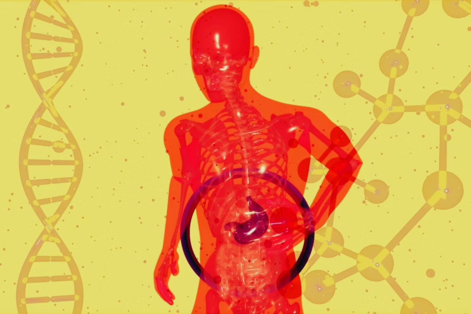 El cuerpo avisa del alzhéimer mucho antes que el cerebro: la pista está en el intestino