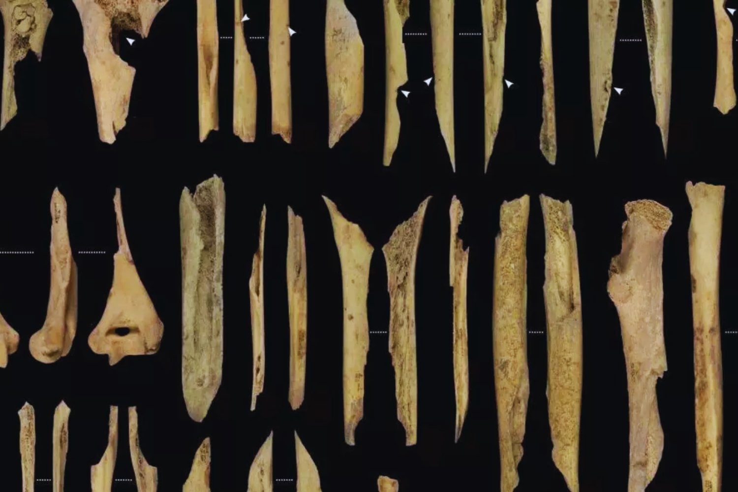 La masacre olvidada del Neolítico en Atapuerca que revela un canibalismo sistemático