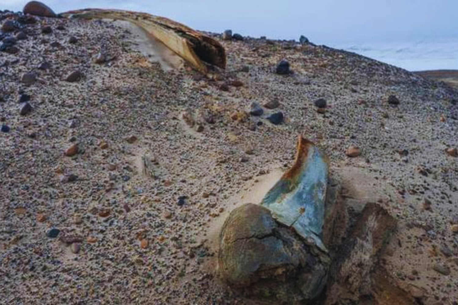 Los glaciares rusos revelan un misterio prehistórico que desconcierta a los científicos