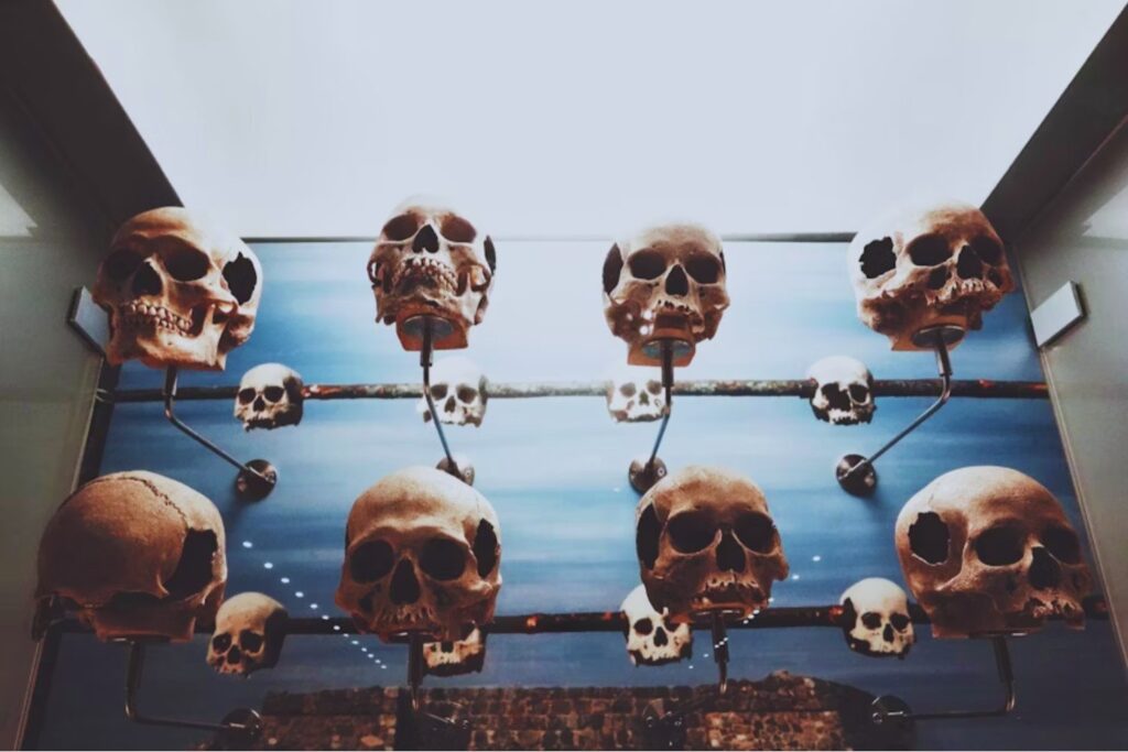 El misterio del mentón humano: el rasgo que la evolución aún no consigue explicar