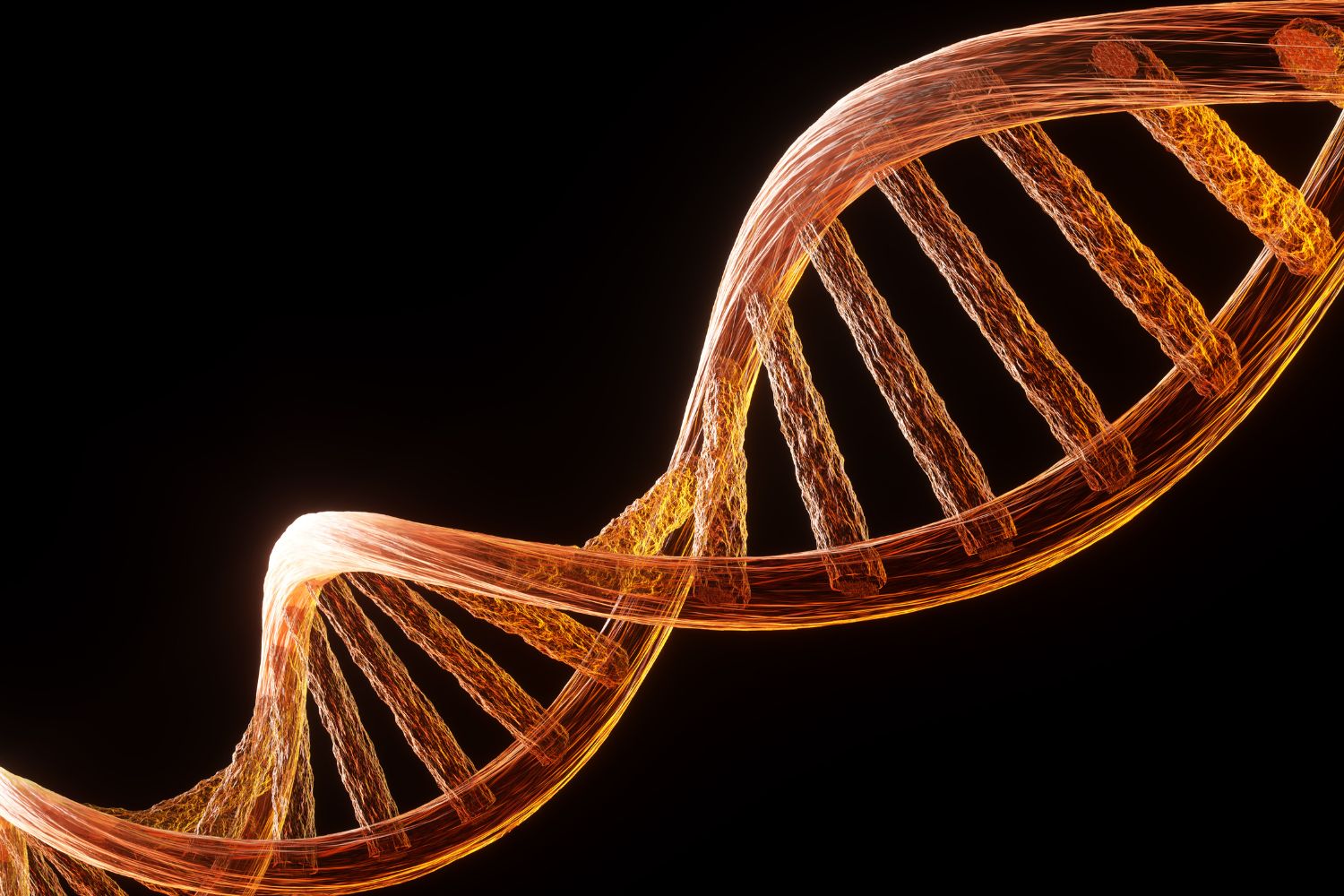 Diseño Sin Título (51)