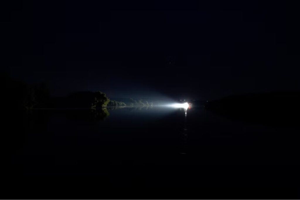 Un destello en la oscuridad: la primera fotografía de un mamífero en peligro crítico que irradia luz natural
