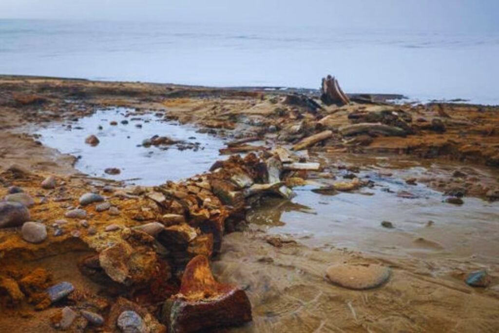 Los glaciares rusos revelan un misterio prehistórico que desconcierta a los científicos