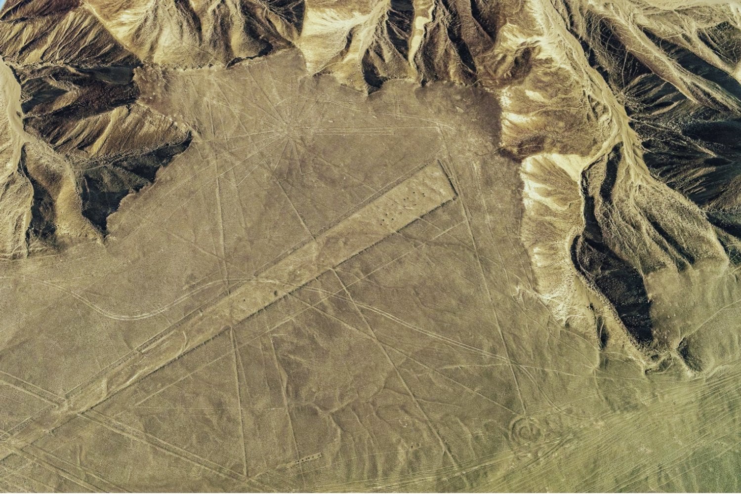 La inteligencia artificial que está desvelando secretos invisibles en el desierto de Nazca