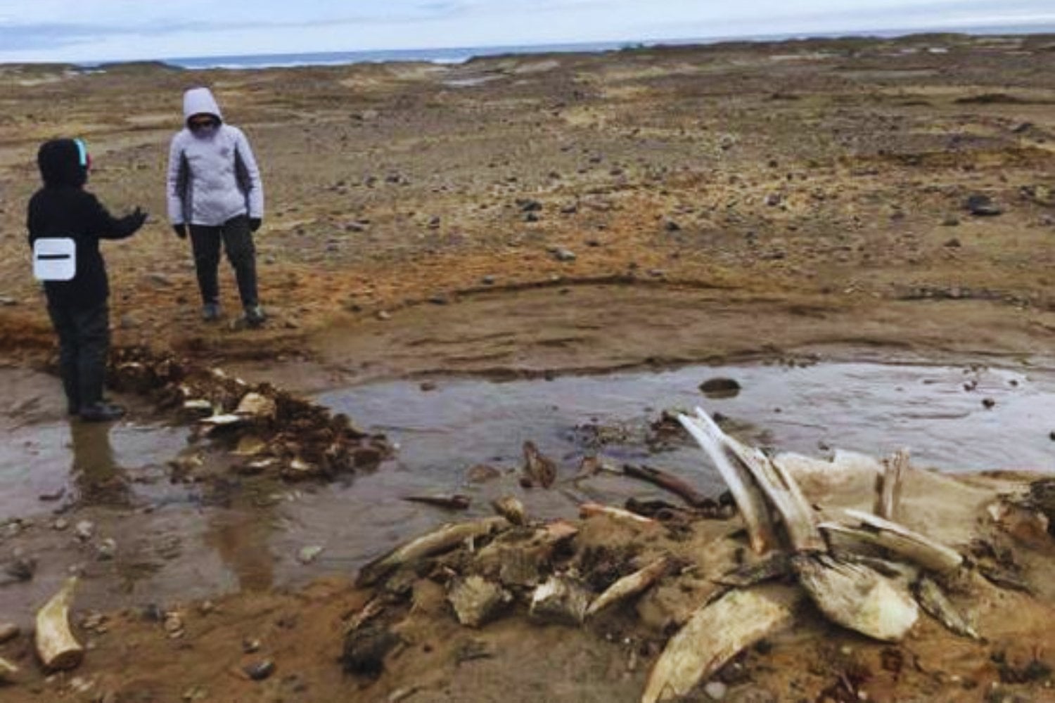Los glaciares rusos revelan un misterio prehistórico que desconcierta a los científicos