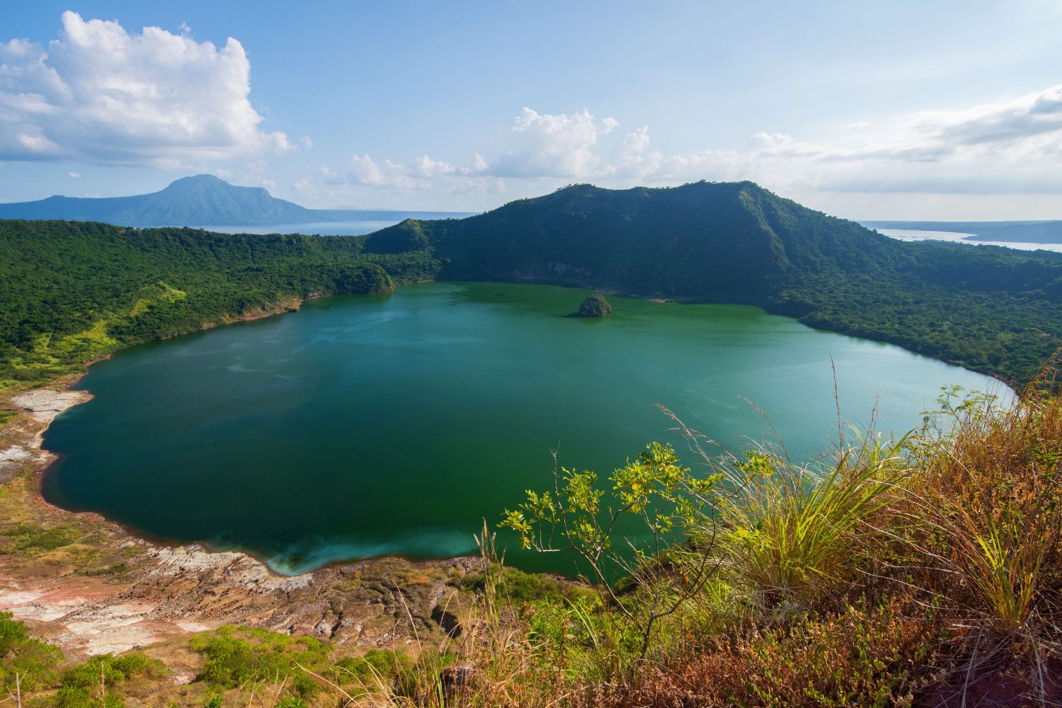 Diseño Sin Título (78)