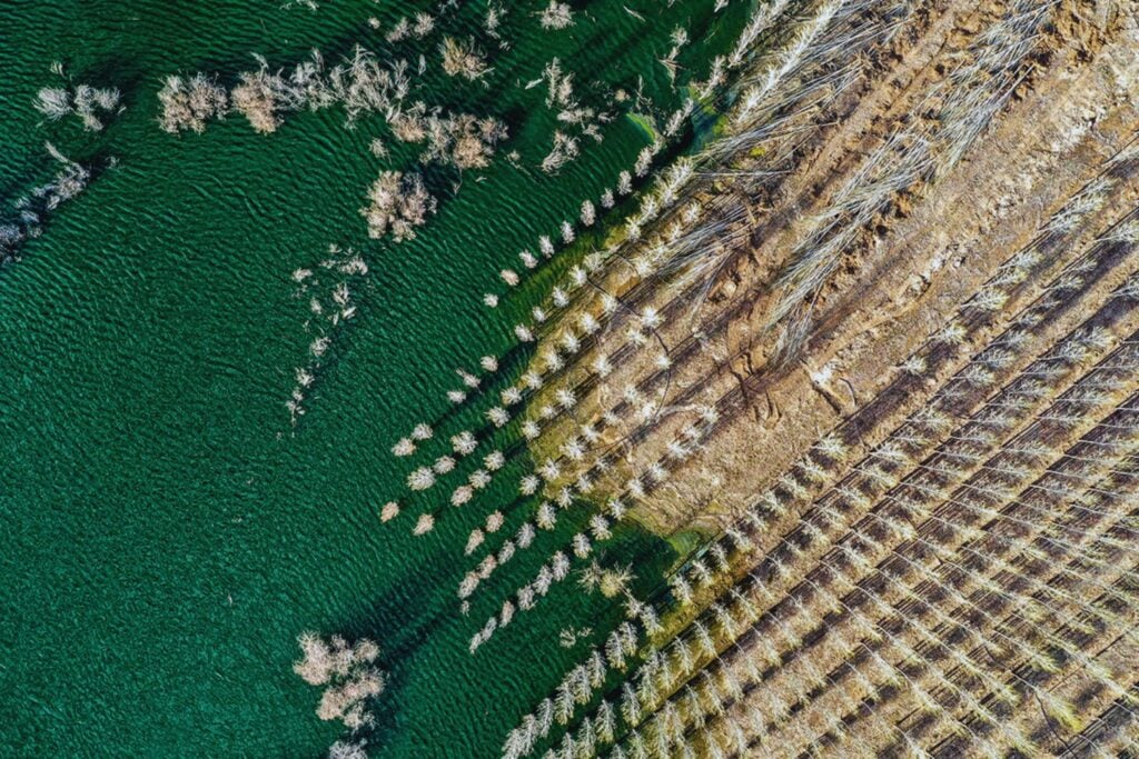 El muro verde de China que prometía frenar el desierto y terminó enfermando a su gente
