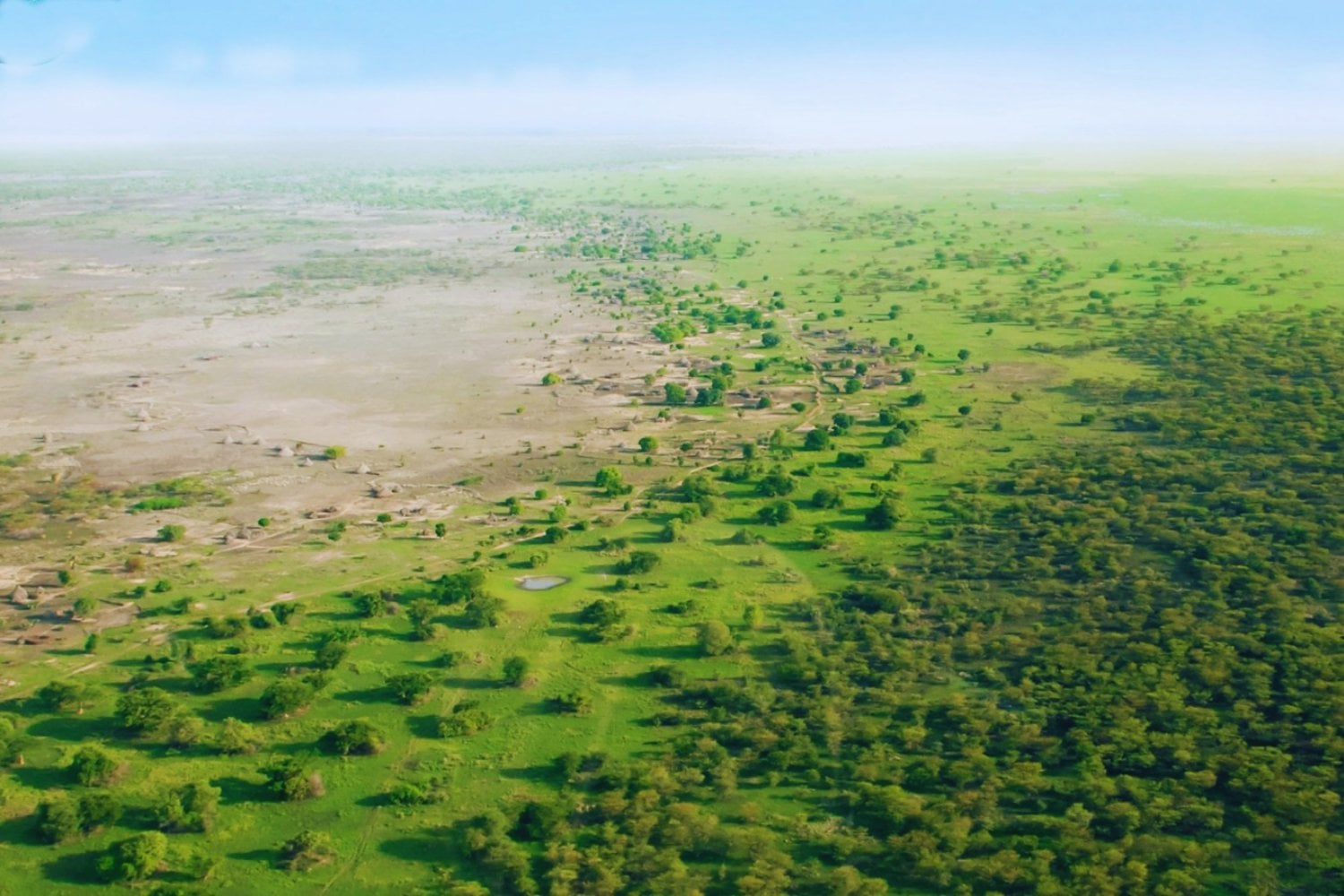 El muro verde de China que prometía frenar el desierto y terminó enfermando a su gente