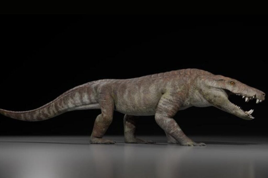 El feroz reptil patagónico que rivalizó con los dinosaurios: así era Kostensuchus atrox