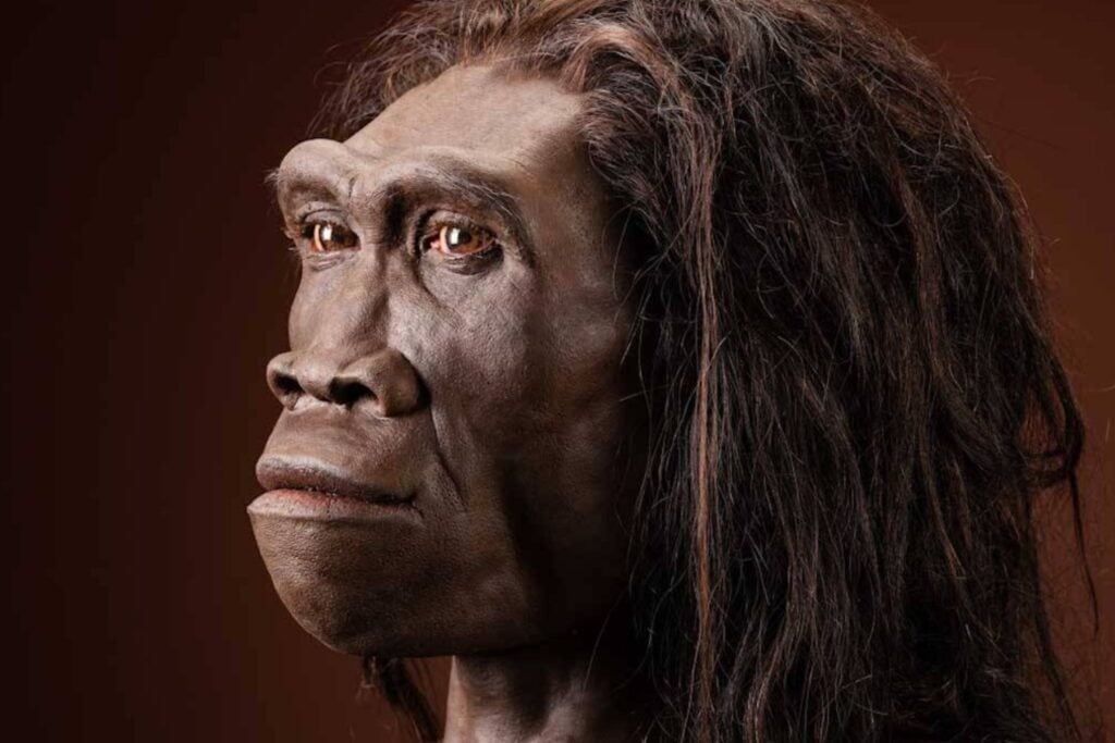 Comer antes de estar preparados: cómo los primeros humanos cambiaron su cuerpo por su apetito